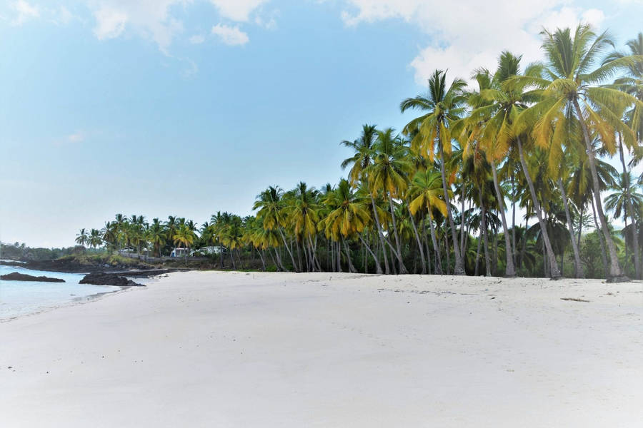 Long Stretch Beach Shore Comoros Wallpaper