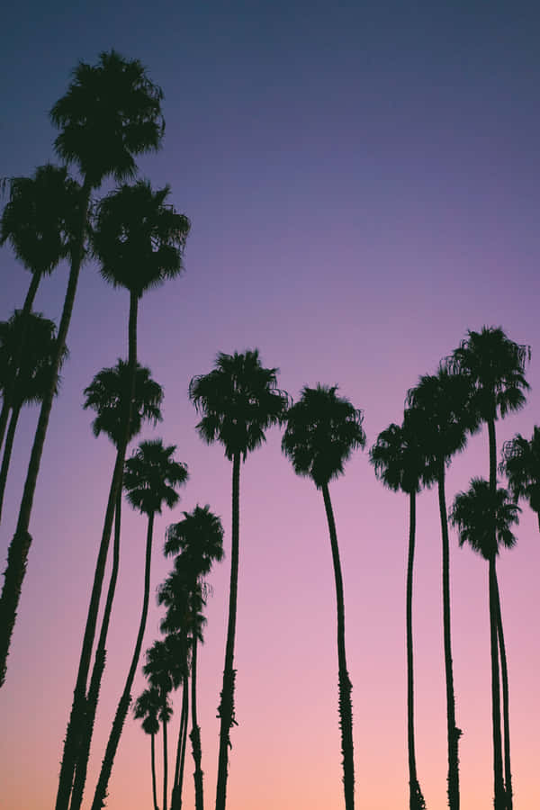 Looking For The Best Iphone 7 Plus? Wallpaper