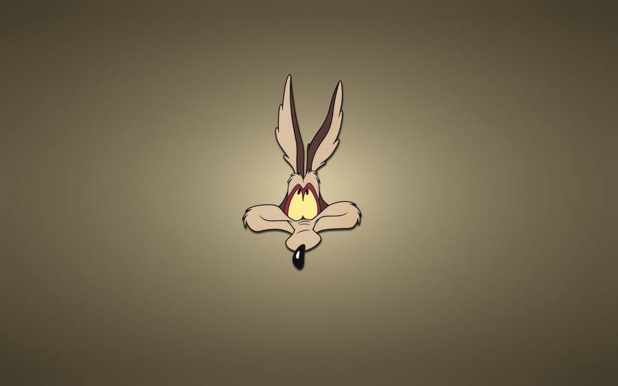 Looney Tunes Wile E. Coyote Wallpaper