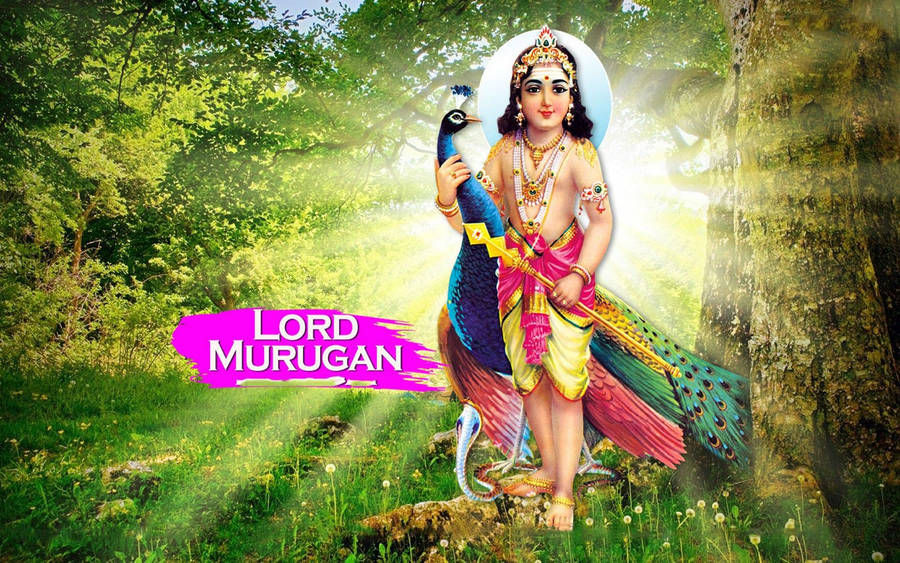 Lord Murugan 4k Carrying Peacock Wallpaper