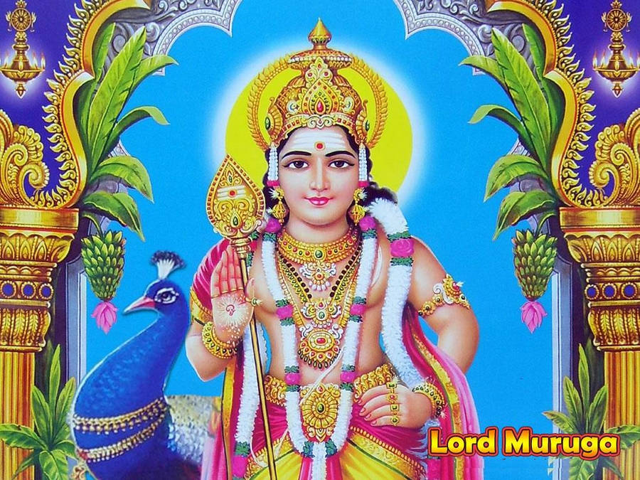 Lord Murugan 4k Golden Arc With Peacock Wallpaper