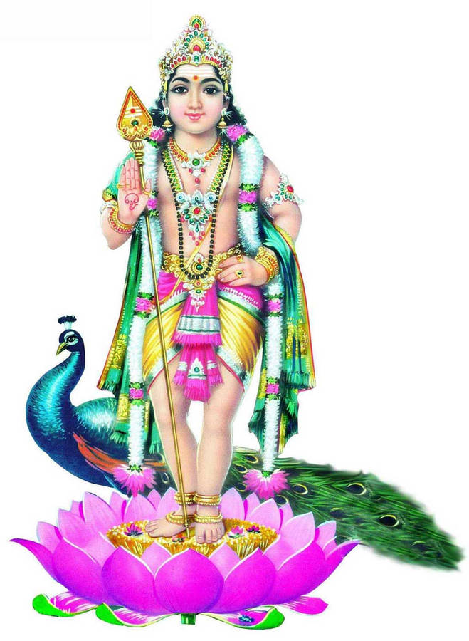 Lord Murugan 4k On Lotus With Peacock Wallpaper