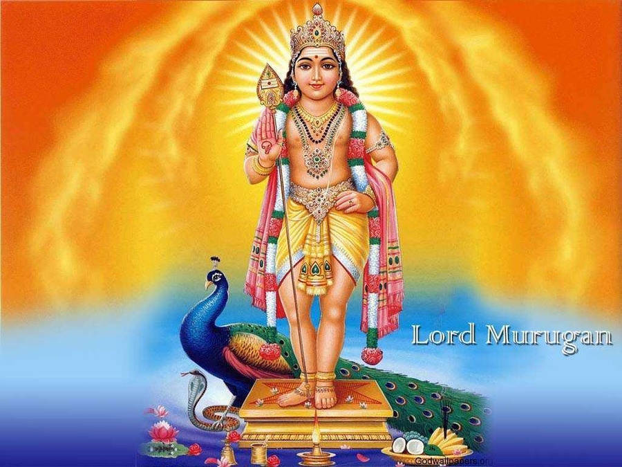 Lord Murugan Standing On Golden Platform Wallpaper