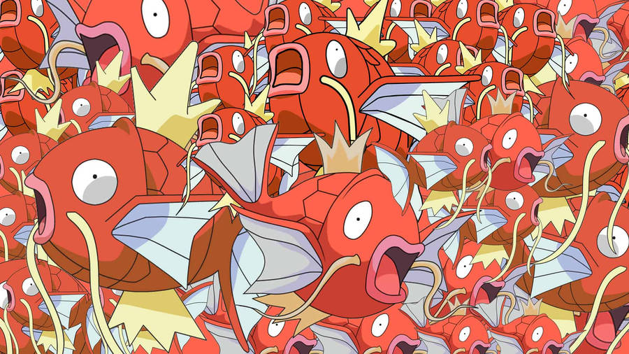 Lots Of Funny Magikarp Wallpaper