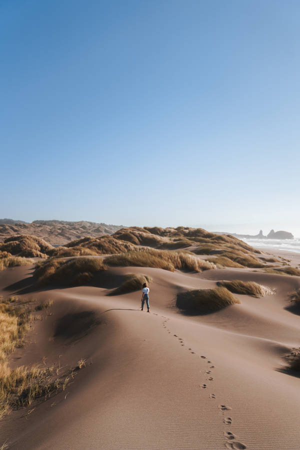 Love Alone Walking In Desert Wallpaper