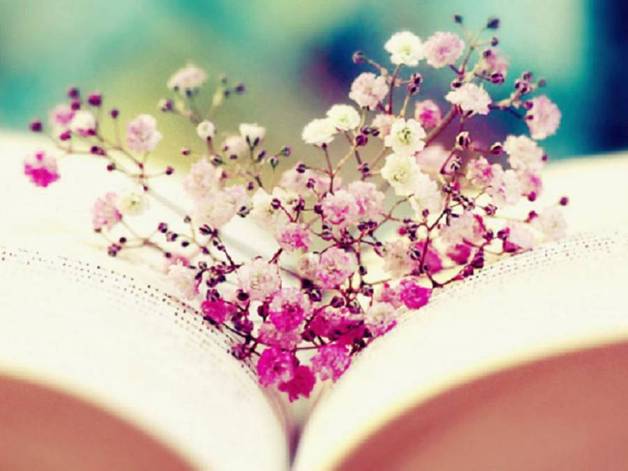 Love Blooms On Every Page Wallpaper