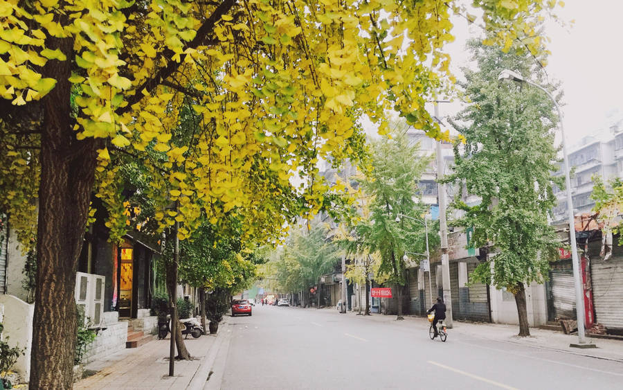 Lovely Chengdu Street Wallpaper