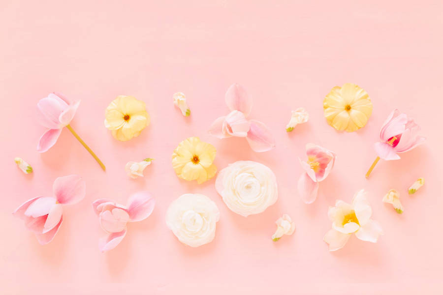 Lovely Flowers On Pink Pastel Wallpaper