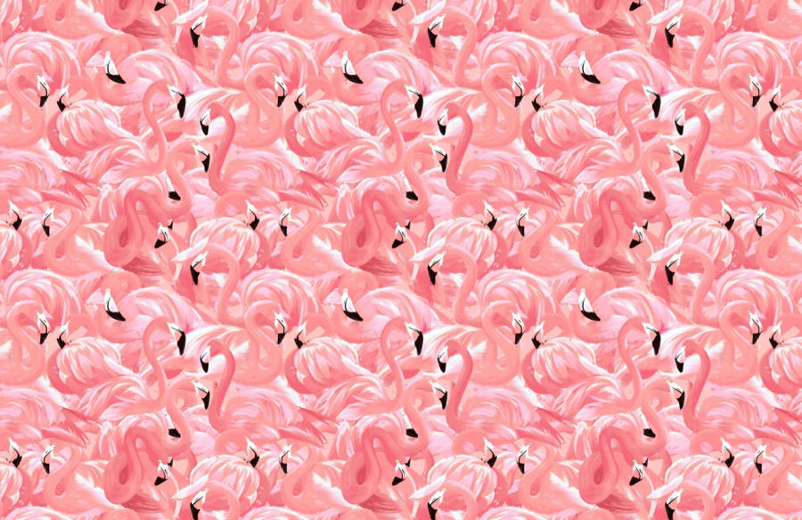 Lovely Pink Flamingo Birds Wallpaper