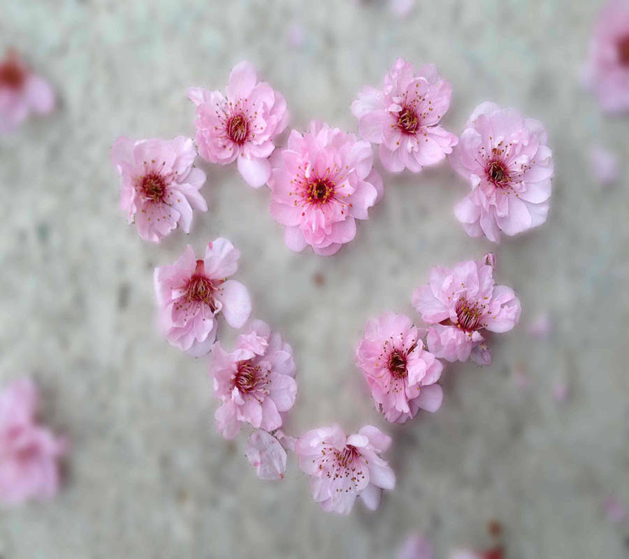 Lovely Pink Flower Heart Aesthetic Wallpaper