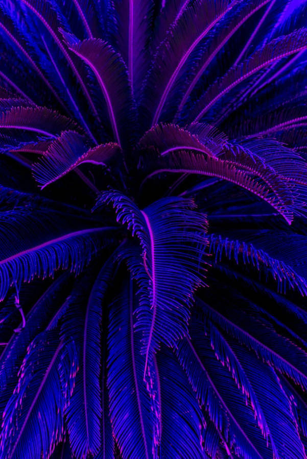 Lovely Purple Aesthetic Iphone Lockscreen Wallpaper