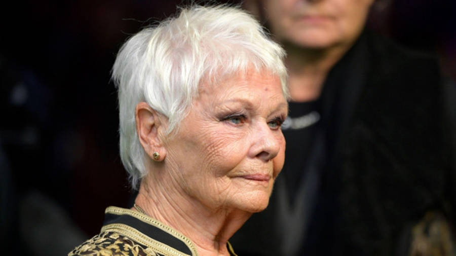 Lovely Sight Of Judy Dench Wallpaper