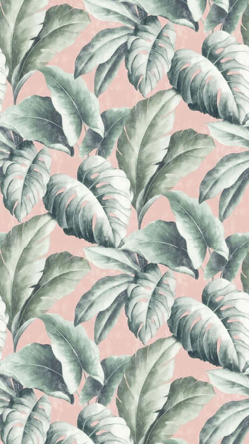 Lovely Tropical Aesthetic Wallpaper