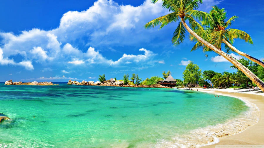 Lovely Tropical Seashore Wallpaper