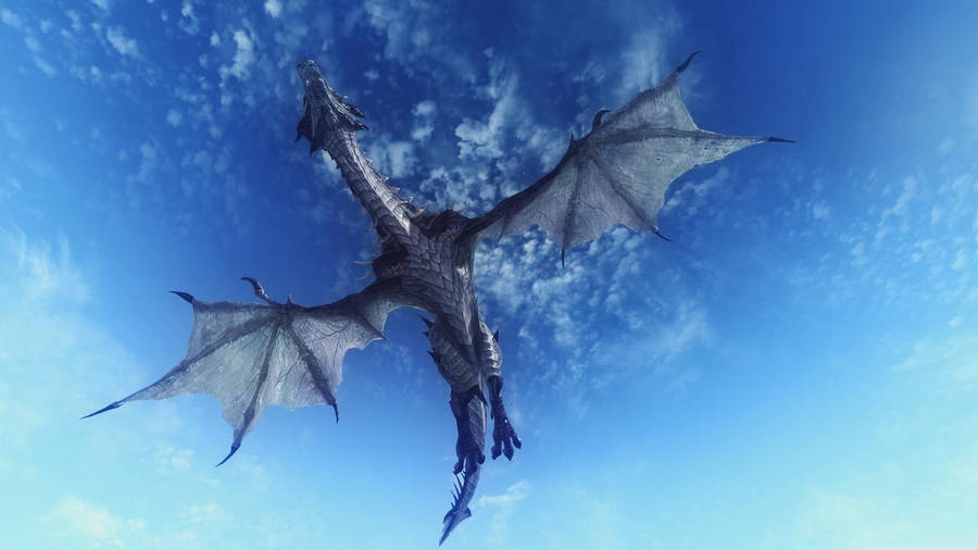 Low Angle Flying Dragon Wallpaper