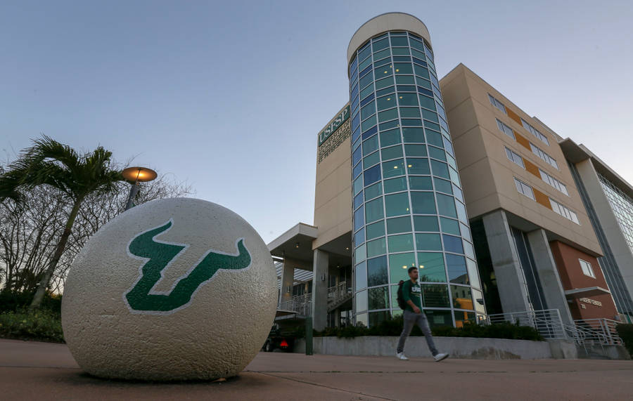 Low-angle Shot University Of South Florida Wallpaper