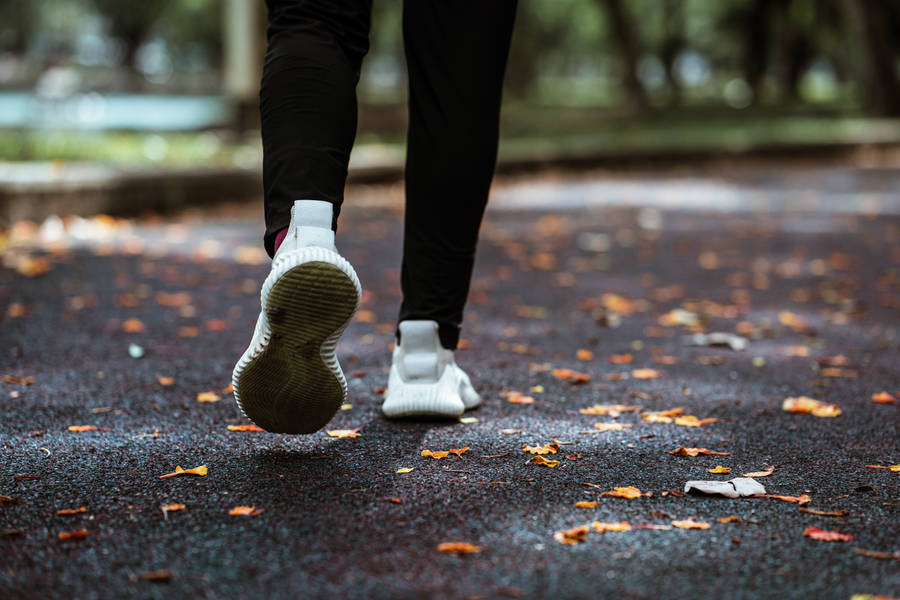 Lower Jogging Empty Park Wallpaper