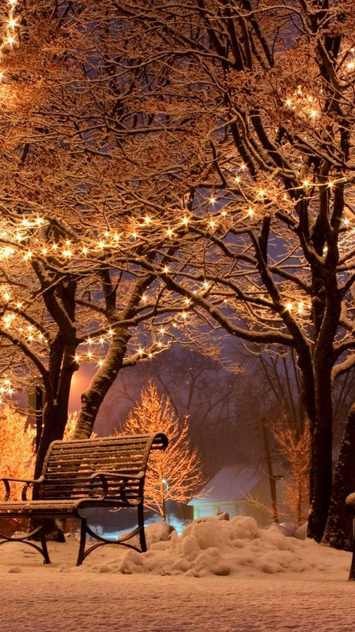 Luminous Bench Winter Iphone Wallpaper