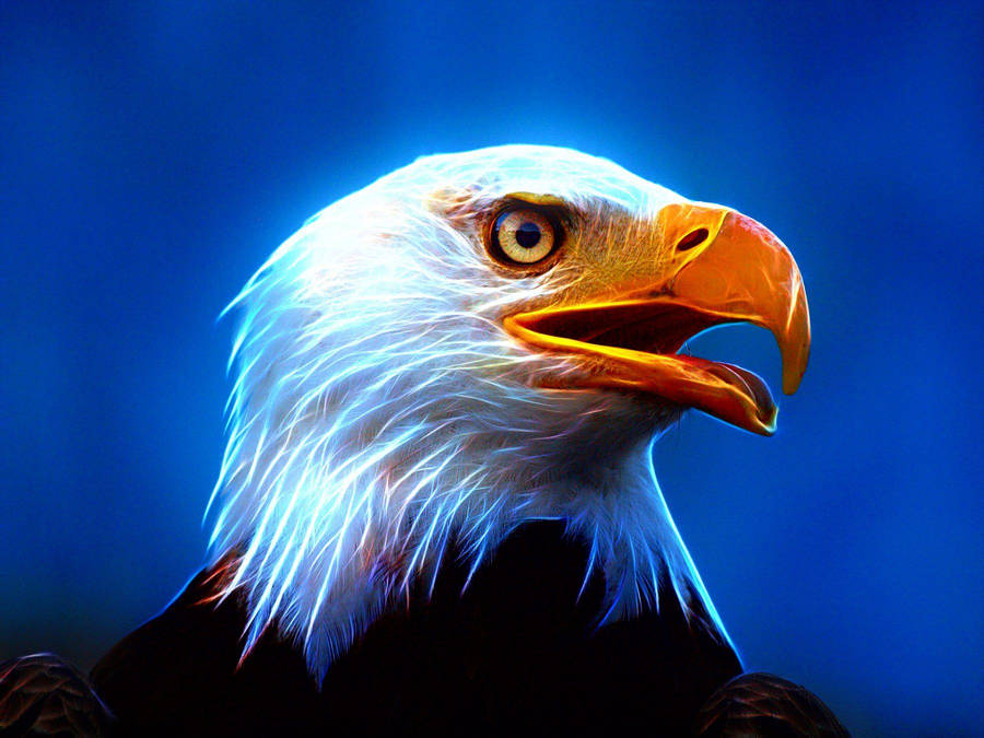 Luminous Us Eagle Graphic Art Wallpaper