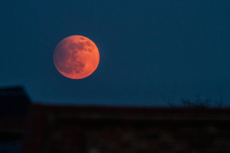 Lunar Eclipse Night Sky Wallpaper