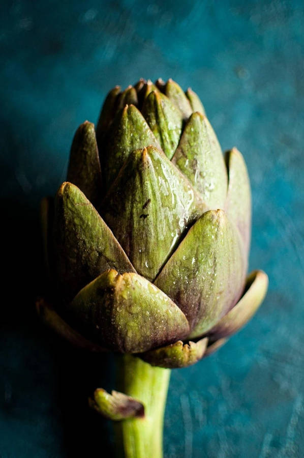 Lush Green Artichoke In Low Light Wallpaper