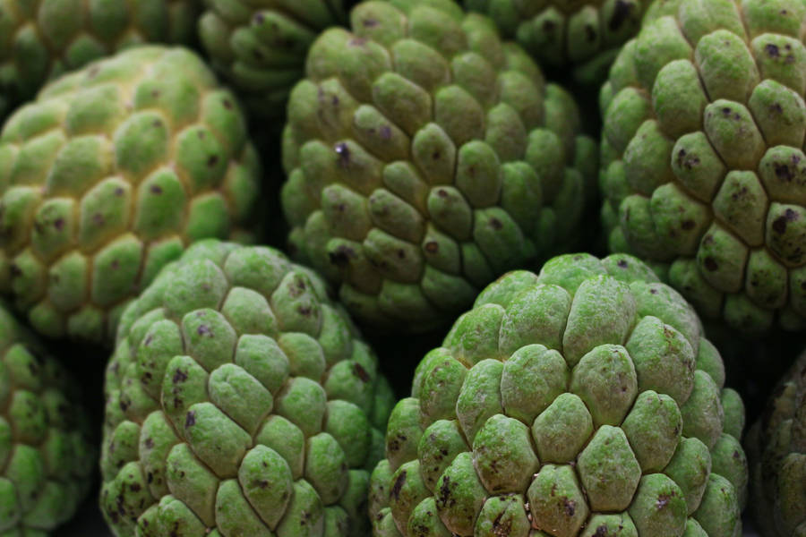 Luxurious Apple Cherimoya Fruits Wallpaper