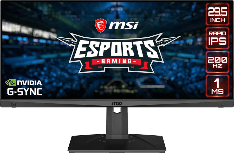 M S I Esports Gaming Monitor Features Wallpaper