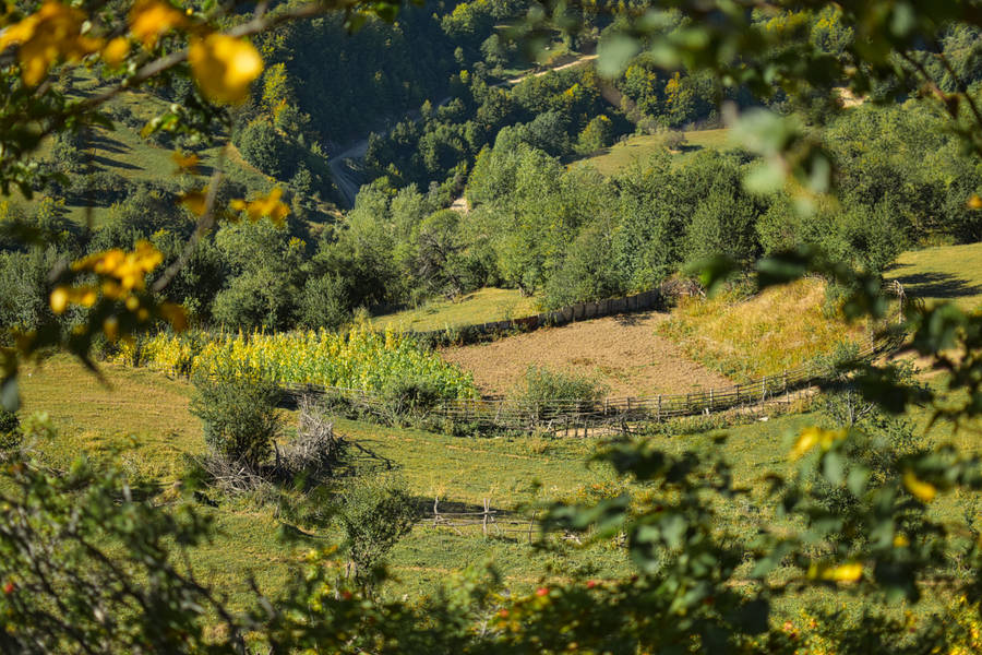 Macedonia Vast Grasslands Wallpaper