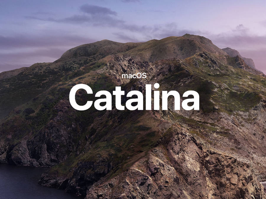 Macos Catalina Closeup Wallpaper