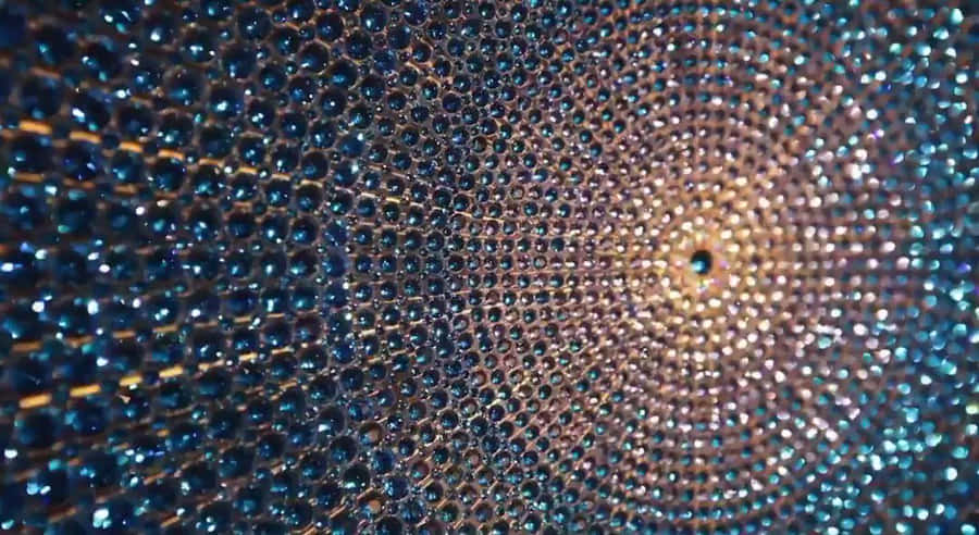 Macro Shot Dmt Wallpaper