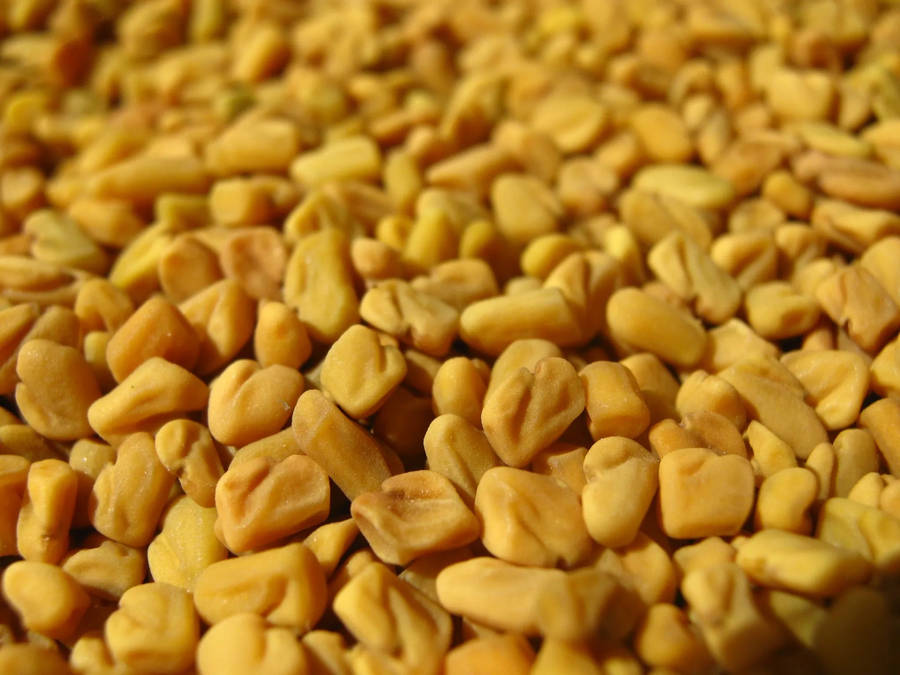 Macro Shot Of Fenugreek Seeds Wallpaper