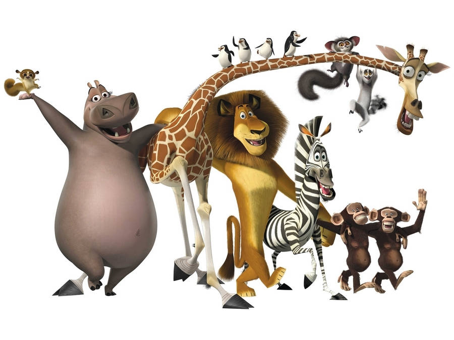 Madagascar Animals Wallpaper