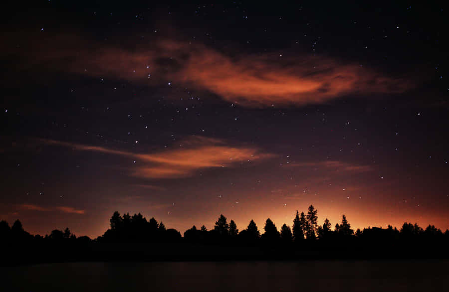 Magical Night Sky With Silhouette Of Trees With Clouds And Stars Wallpaper