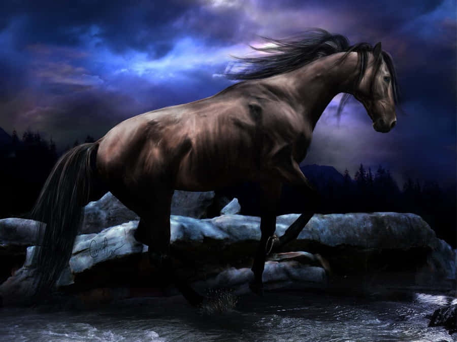 Magnificent Grace Of A Cool Horse Wallpaper