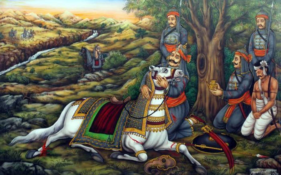 Maharana Pratap Poor White Horse 4k Wallpaper