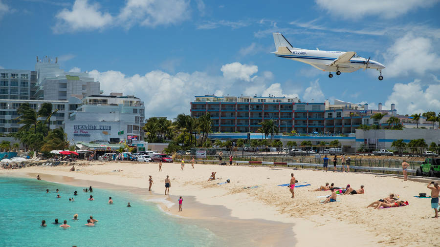 Maho Reef In Sint Maarten Wallpaper