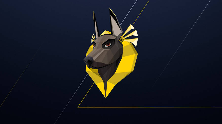 Majestic 4k Imagery Of Anubis, The Ancient Egyptian God With The Head Of A Jackal. Wallpaper