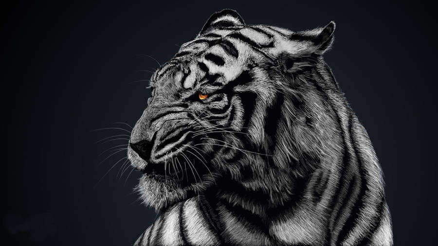 Majestic 8k Tiger In Ultra-high Definition Wallpaper