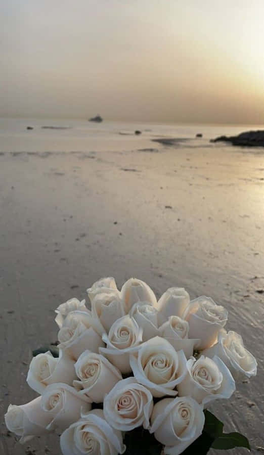 Majestic Aesthetic Of A White Rose Wallpaper