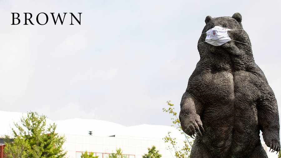 Majestic Brown Bear Statue At Brown University Wallpaper