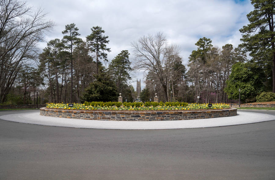 Majestic Duke University Campus Surrounded By Lush Greenery Wallpaper