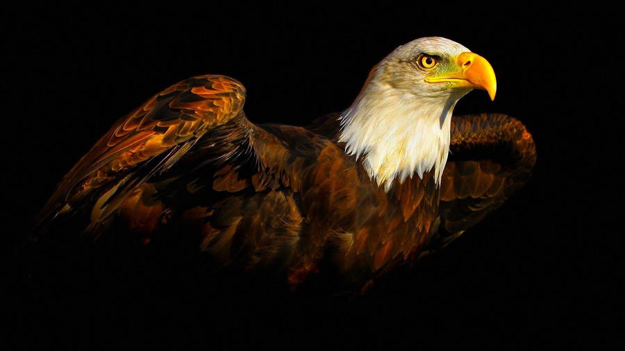 Majestic Eagle Painting On A Dark Background Wallpaper