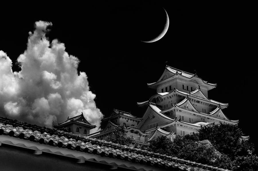 Majestic Monochrome View Of Himeji Castle In Japan Wallpaper