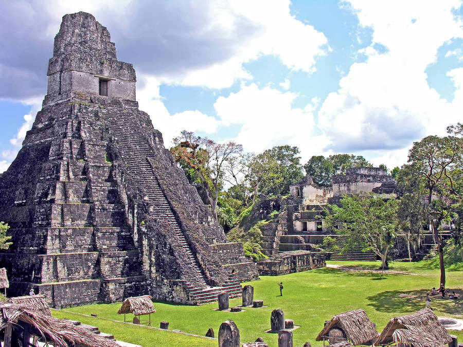 Majestic Pyramid Of Tikal Amidst The Green Jungle Wallpaper