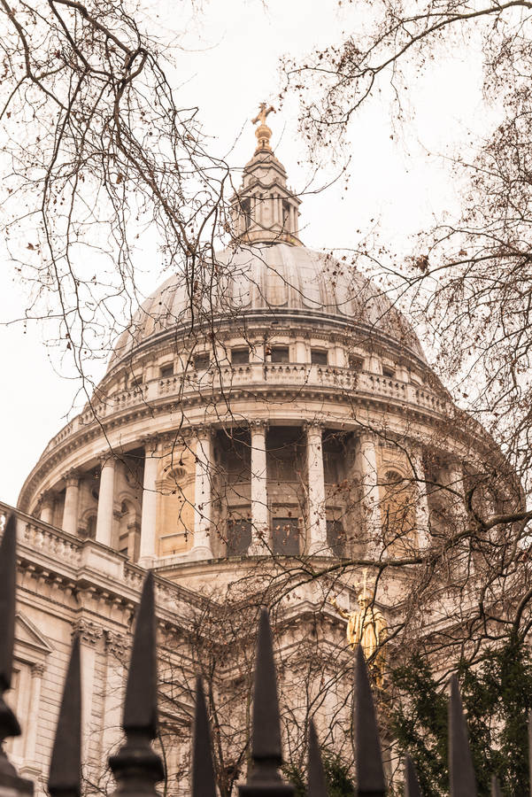 Majestic View Of St. Paul's Dome Among Trees Wallpaper