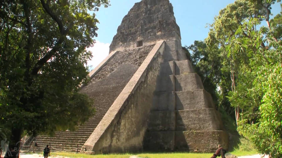 Majestic View Of Tikal Pyramid Basking Under A Bright Sun Wallpaper