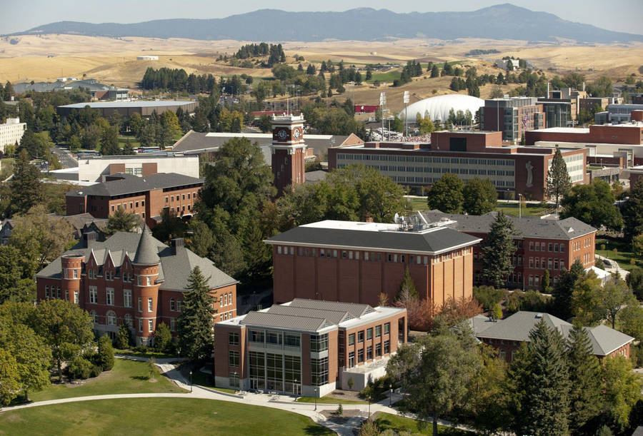 Majestic View Of Washington State University Campus Wallpaper