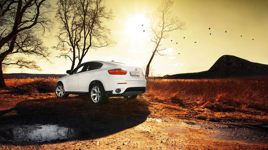 Majestic White Bmw X6 M Basking In The Golden Sunset Wallpaper