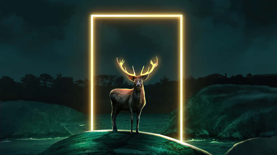 Majestic Young Deer Standing In A Clearing Of Trees Wallpaper