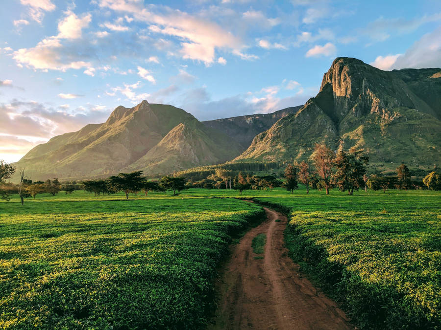 Malawi Dirt Road To Mountain Wallpaper